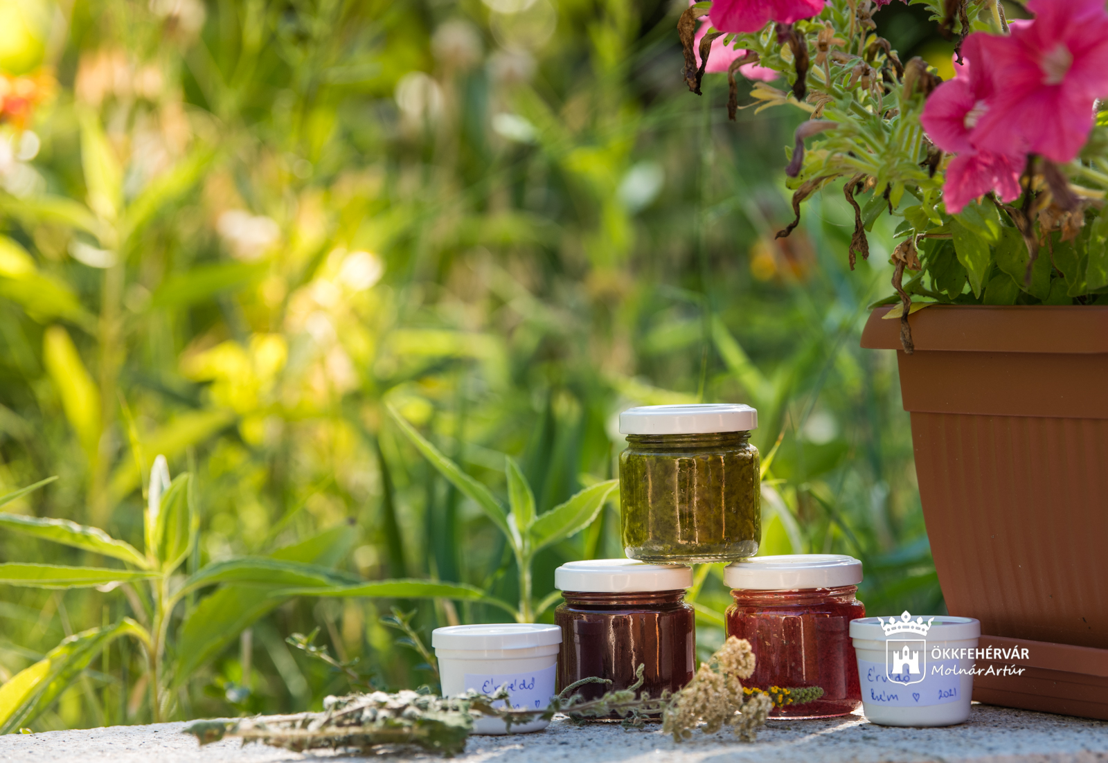 Természetes házipatika Lencsés Rita gyógynövényszakértővel